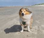 20210808_115507_exported_1330_1628614687541