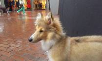 IMAG0206
