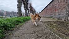 20230408_082935 Sittard wandelen