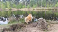 20150502_135231