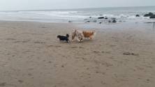 met Mollie