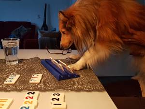 Tweede helft 2017