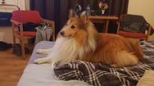 20181010_222454 Eerste hotel