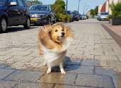 20180725_165015-01 Genieten