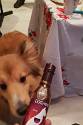 20181225_225446 Kerst