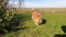 20190224_123904 Wandelen