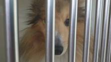 20190228_133040 Wil hier weg