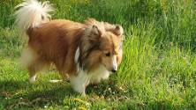 20190525_080602 Wandelen